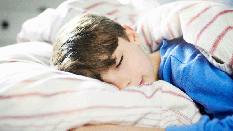 Study suggests importance of regular sleep schedule